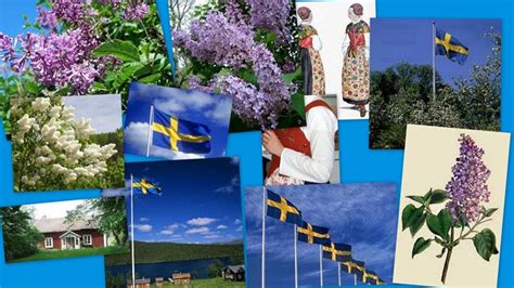 I dag den 6 juni är det svenska flaggans dag och sveriges nationaldag. Snäckskalsdalen: Sveriges Nationaldag.