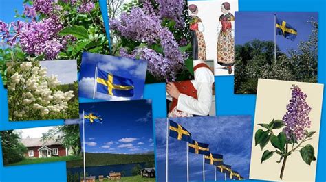 Kolla vilken vecka det är och räkna om datum till veckonummer på veckonr.se. Snäckskalsdalen: Sveriges Nationaldag.