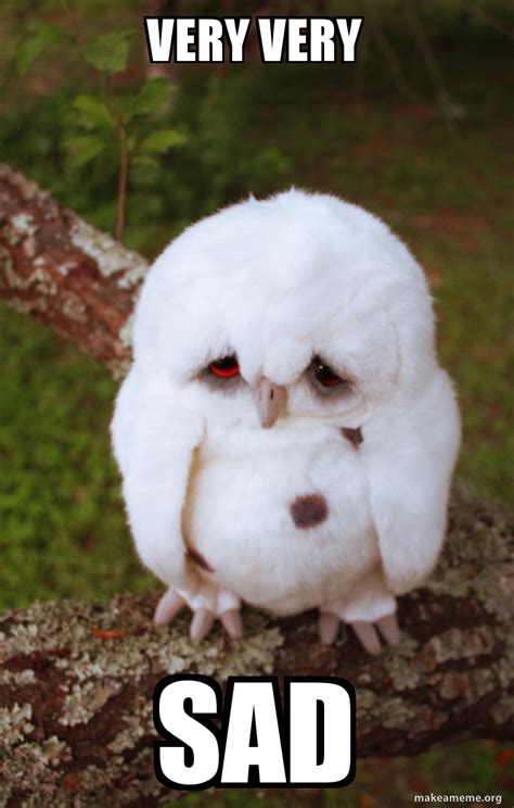 Very Very Sad Sad Owl Meme Generator