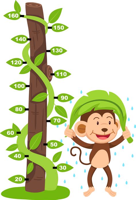 Meter Wall With Animal Cartoon Illustration 13452450 Png
