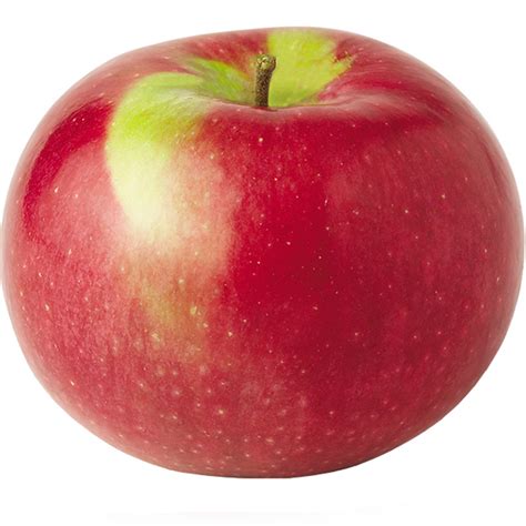 Produce Market Guide Pmg Mcintosh Apples