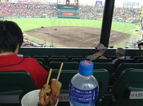 Seat line up シート一覧 how to 活用方法 owner's benefit ご契約特典 owner's & user's voice ご利用者様の声 enjoy koshien 甲子園球場の楽しみ方 ※本サイト内の一部写真はイメージです。 トップ 甲子園 グリーン シート 上段 - 写真と画像