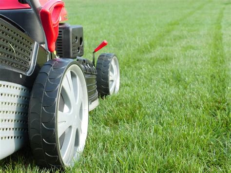 Lawn Mower Height Settings How To Adjust Your Mower Deck