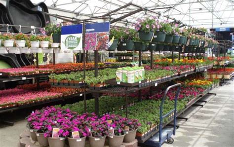 Check spelling or type a new query. Image Result For Lowes Garden Center Image Result For ...