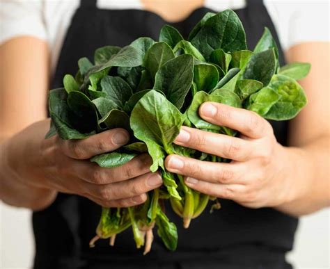 The Health Benefits Of Spinach Healthy Food Guide