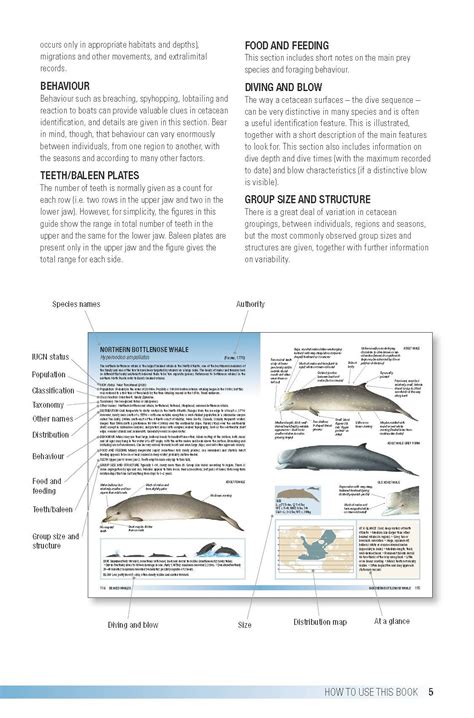 Field Guide To Whales Dolphins And Porpoises Veldshopnl