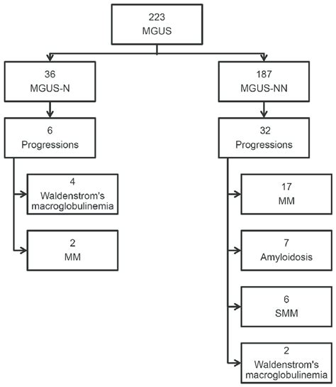 Study Population Overview Mgus Nn Monoclonal Gammopathy Of