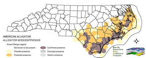 North Carolinas Alligator Range With Nc Being Its Northernmost State