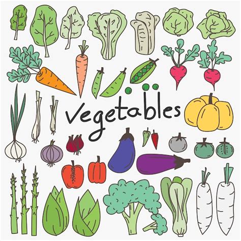 Premium Vector Set Of Hand Drawn Vegetables Doodles