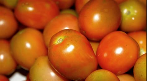 Tomatoes Kamatis 500g Vegetables Davao Groceries Online