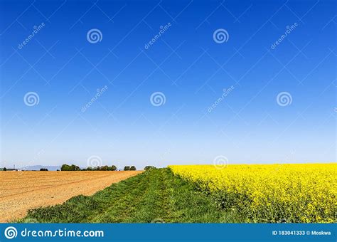 Rural Landscape With Spring Fields And A Blue Sky Stock Image Image