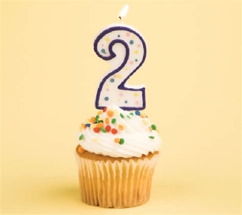 Happy 2nd Birthday To My Blog What I Achieved In 2 Years