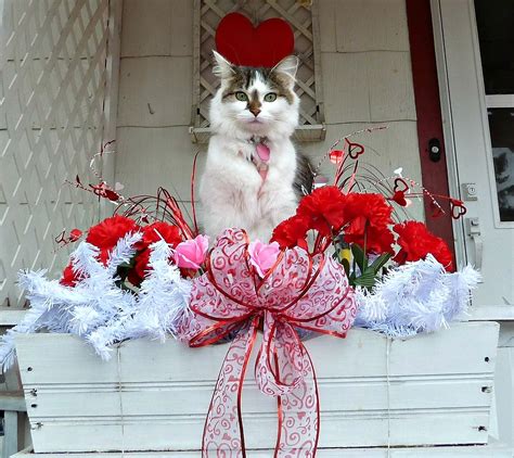 This board has crafts with hearts and more to celebrate love and st walmart valentines. Old Glory Cottage: Valentine's Day Decorations~~REDNESDAY!