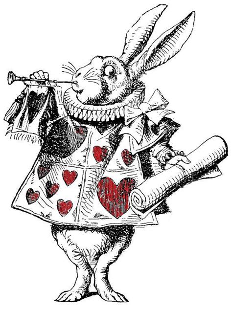 Alice In Wonderland Drawings White Rabbit Alice In Wonderland Alice