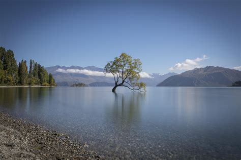 That Wanaka Tree In Lake Wanaka New Zealand 6700x4450 Nature