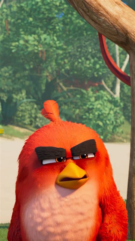 Red Angry Bird Wallpaper