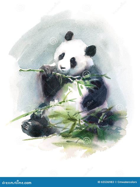 Panda Eating Bamboo Watercolor Animal Illustration Hand Painted Stock