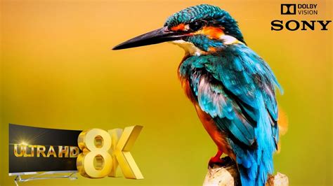 Real 8k Hdr 60fps Collection 8k Video Ultra Hd Heavy Extreme 8k Hdr