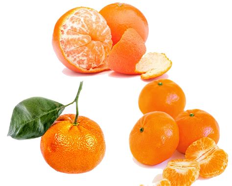 Tangerine Vs Orange