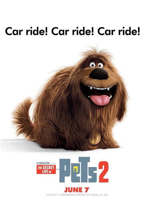 The Secret Life Of Pets 2 2019 Posters — The Movie Database Tmdb