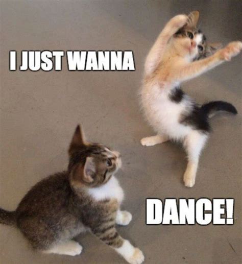Lets Dance Meme 20 Happy Dance Memes That Will Put A Smile On Your