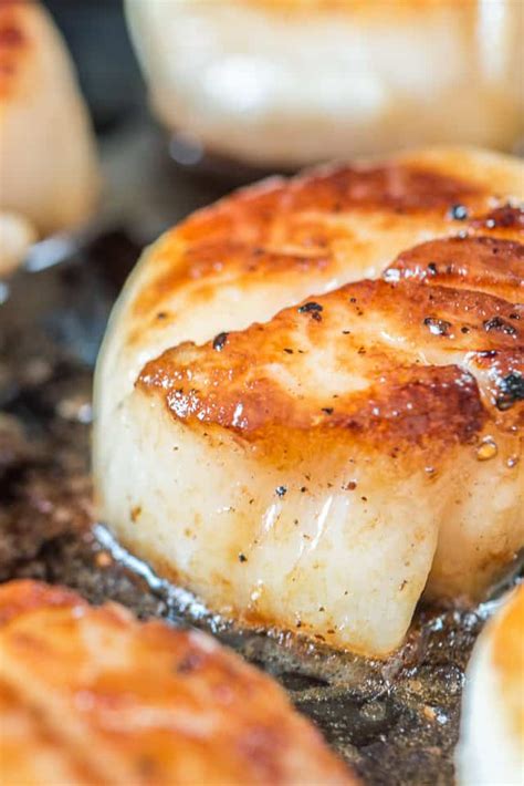 Thaw scallops in the fridge if frozen. Seared Scallops - How to cook scallops perfectly with a ...