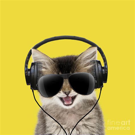 Tabby Cat Kitten Wearing Headphones And Sunglasses Photograph By John