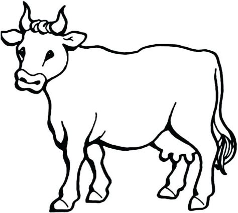 Pin On Animal Coloring Pages