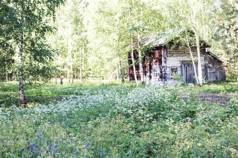 Summer Solstice Traditions From Finland Culturallyours