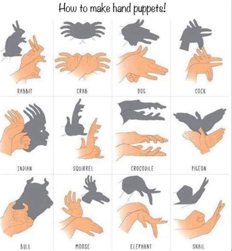 Pin By Dance Lover On Arttats Hand Shadows Shadow Puppets With