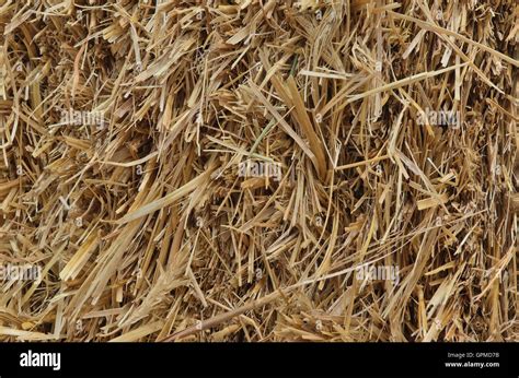 Straw Stacks Farming Backgrounds And Textures Stock Photo Alamy