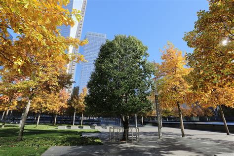 911 Museum Receives Award Of Merit National September 11 Memorial