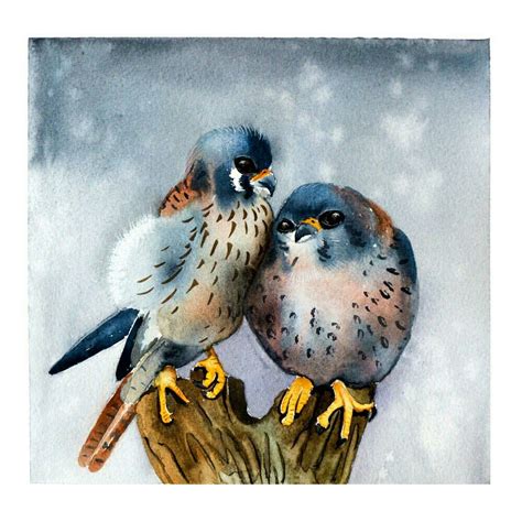 Prints Of My Original Watercolor Painting Couple Cute Burds Are