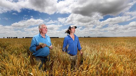 Big Recovery For Australian Crops But China Tensions Mount News Com