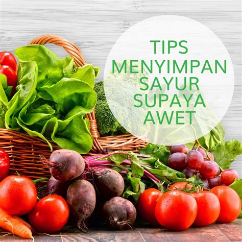 Gambar Sayur Sayuran Segar Hobi Sayur