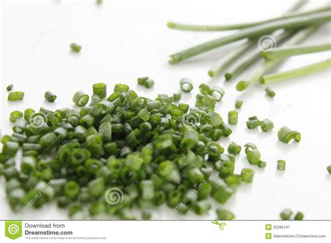 Like other alliums, scallions contain sulfuric compounds that protect them from predators. Chopped Chives stock image. Image of soft, chopped, herb ...
