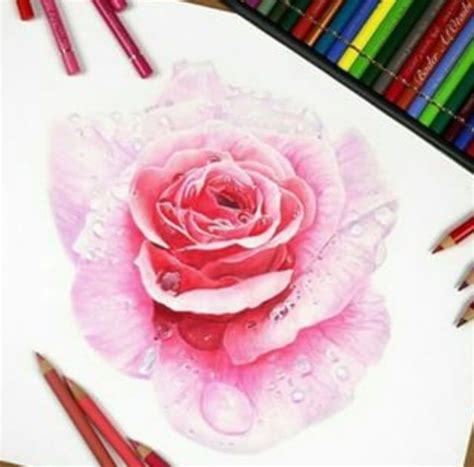 Pinterest Brittesh18 ♡ Colored Pencil Artwork Drawing Projects