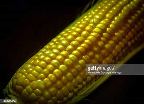 Corn Black Background Stock Fotos Und Bilder Getty Images