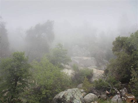 It is a lovely park with oak woodland forest, with a sprinkling of pines, and lovely meadows with creeks. Favorite San Diego Hikes During COVID-19 | Hidden San Diego
