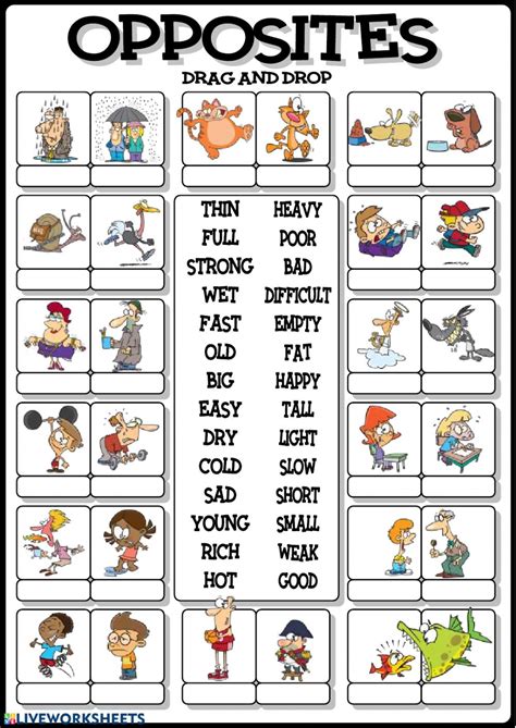 Adjectives Opposites Worksheet