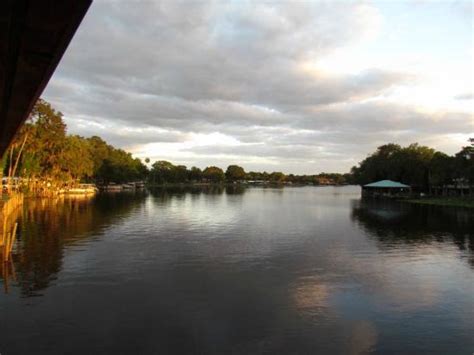 View From Our Deck Picture Of Blairs Jungle Den Fish Camp Astor