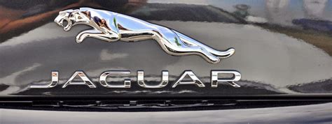 Find out more about its history and meaning with jaguar mission viejo! The Jaguar Symbol | History of the Jaguar Logo