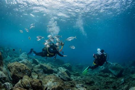Lanzarote Beginner Scuba Diving From The Beach Getyourguide
