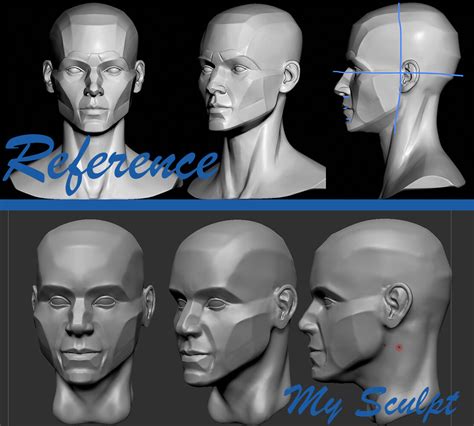 Artstation Head Anatomy Study Digital Sculpting In Zbrush