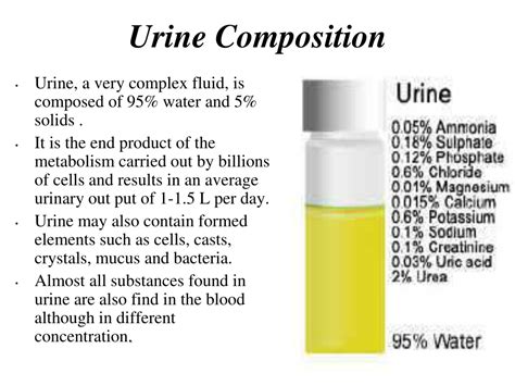 Medical Breakthrough Chemical Composition Of Human Urine