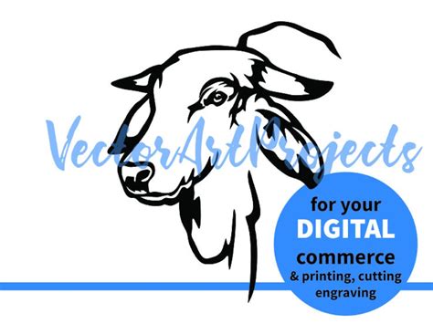 Brahman Cattle Svg Head Vector Graphic Digital Commercial Use Cattle