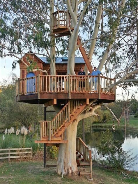 15 Best Treehouse Ideas That Will Surprise You The Tilth