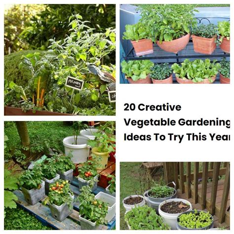 20 Creative Vegetable Gardening Ideas To Try This Year Sharonsable
