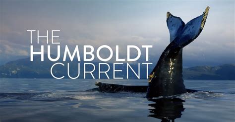The Humboldt Current Streaming Tv Show Online