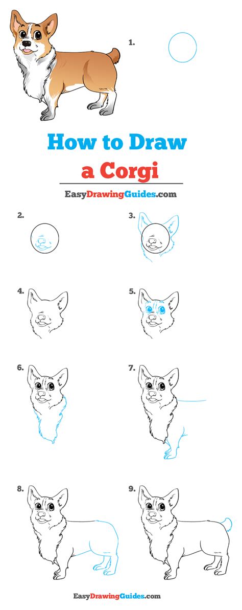 That is all you need to do here. How to Draw a Corgi - Really Easy Drawing Tutorial